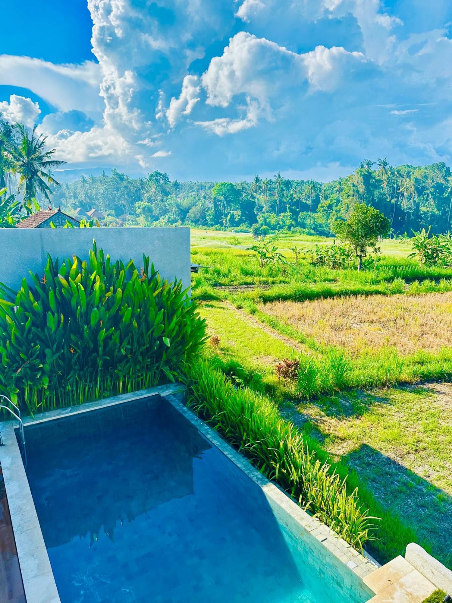 Balisen Luxury Villa